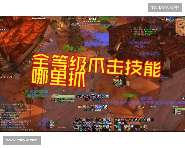 魔兽世界怀旧服宝宝:潜行攻击之路